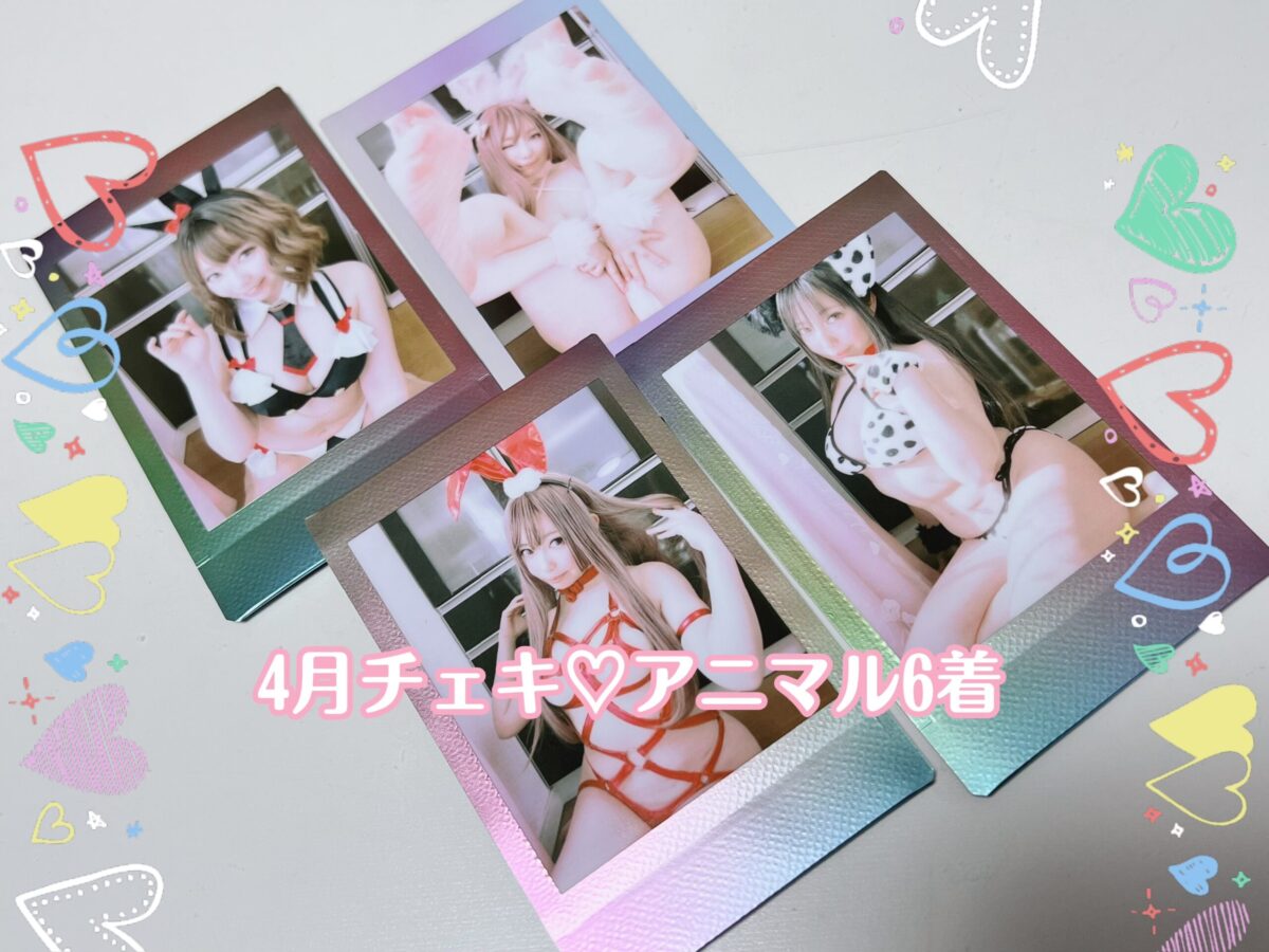 4月限定💗ランダム☆アニマルチェキ