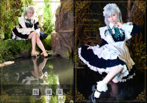 Perfect Maid